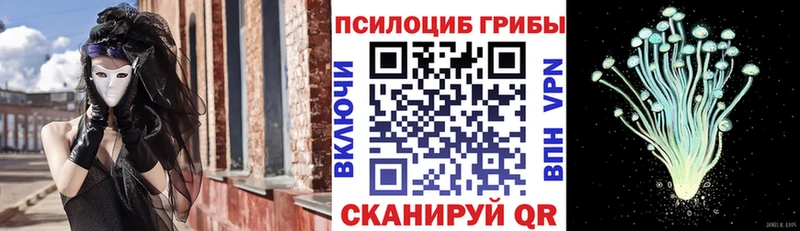 цена   Видное  Псилоцибиновые грибы Psilocybine cubensis 