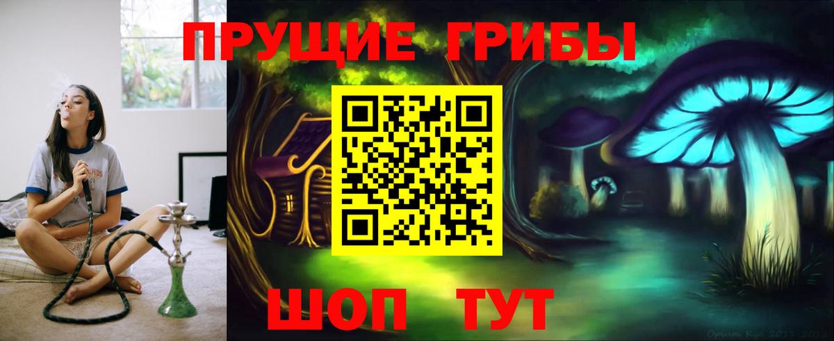 Галлюциногенные грибы Psilocybe Видное